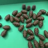 e0dfdcd60de8caf54c9d9d660ba2f10d.jpg Szyszki pasujące do gry Kaskadia 40 szt.